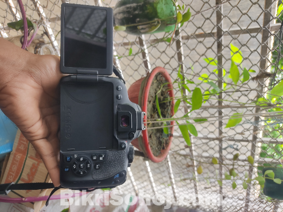 Canon 800D with 50mm 1.8 lens